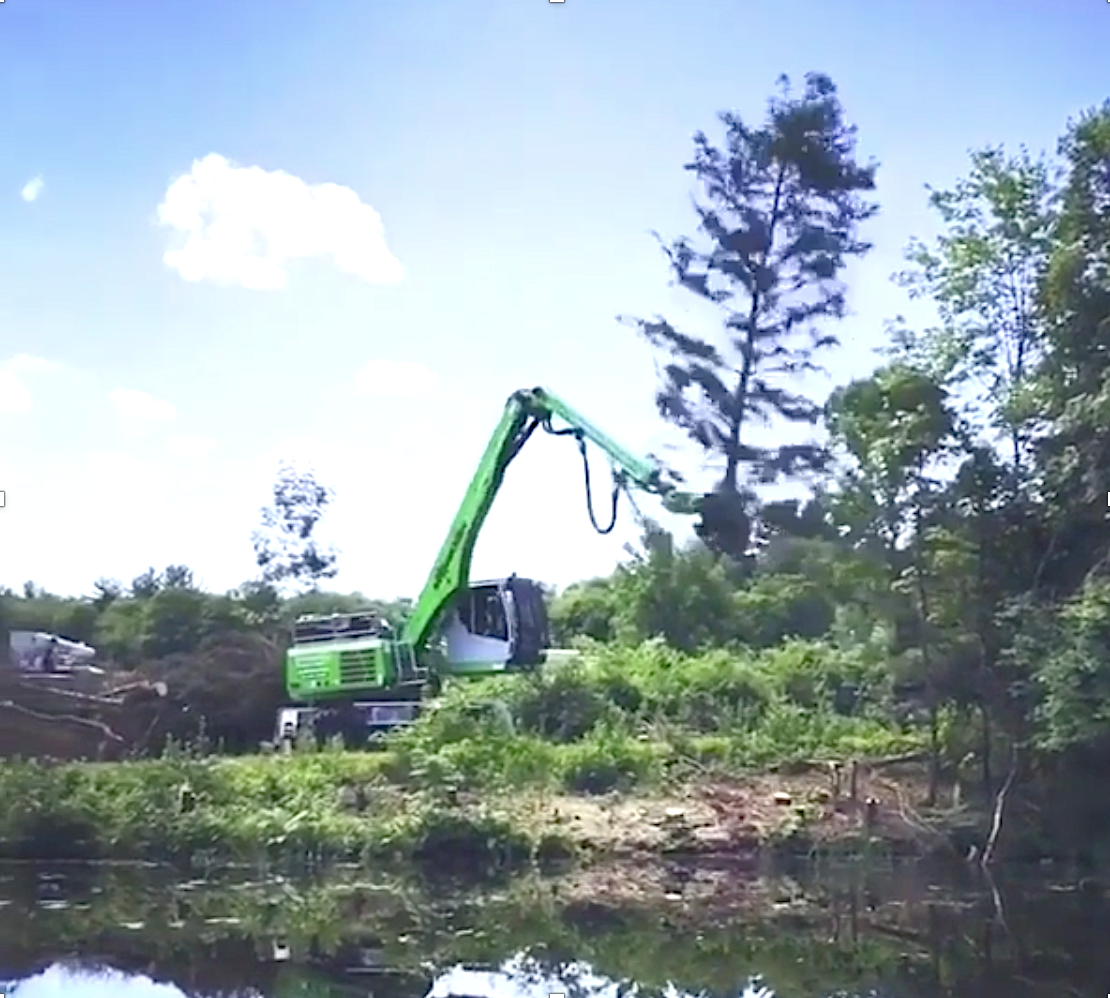 718e cutting trees near wetland edges