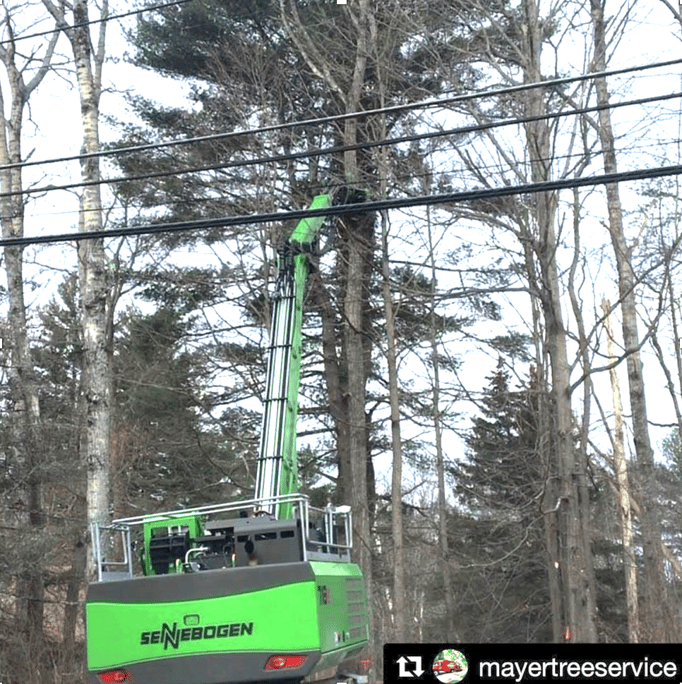 718e cutting trees near power lines
