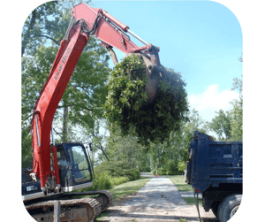 An excavator wasn't built for tree care, but it's been adapted for it over the years.