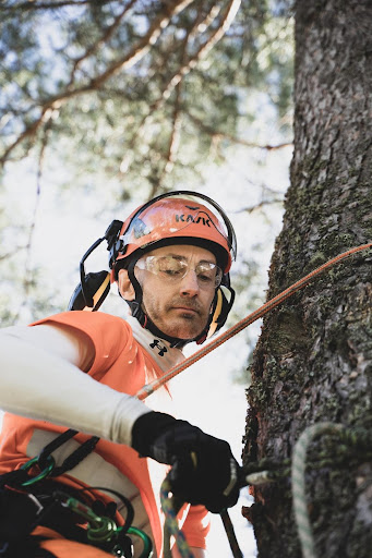 Tree care worker